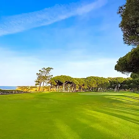 Pine Cliffs 5*