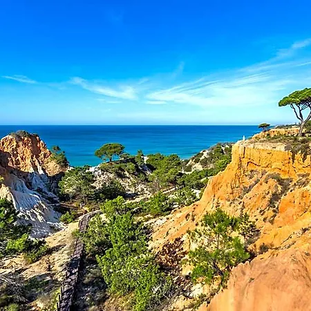 Pine Cliffs Hotel 5*