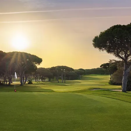 Pine Cliffs فندق 5*
